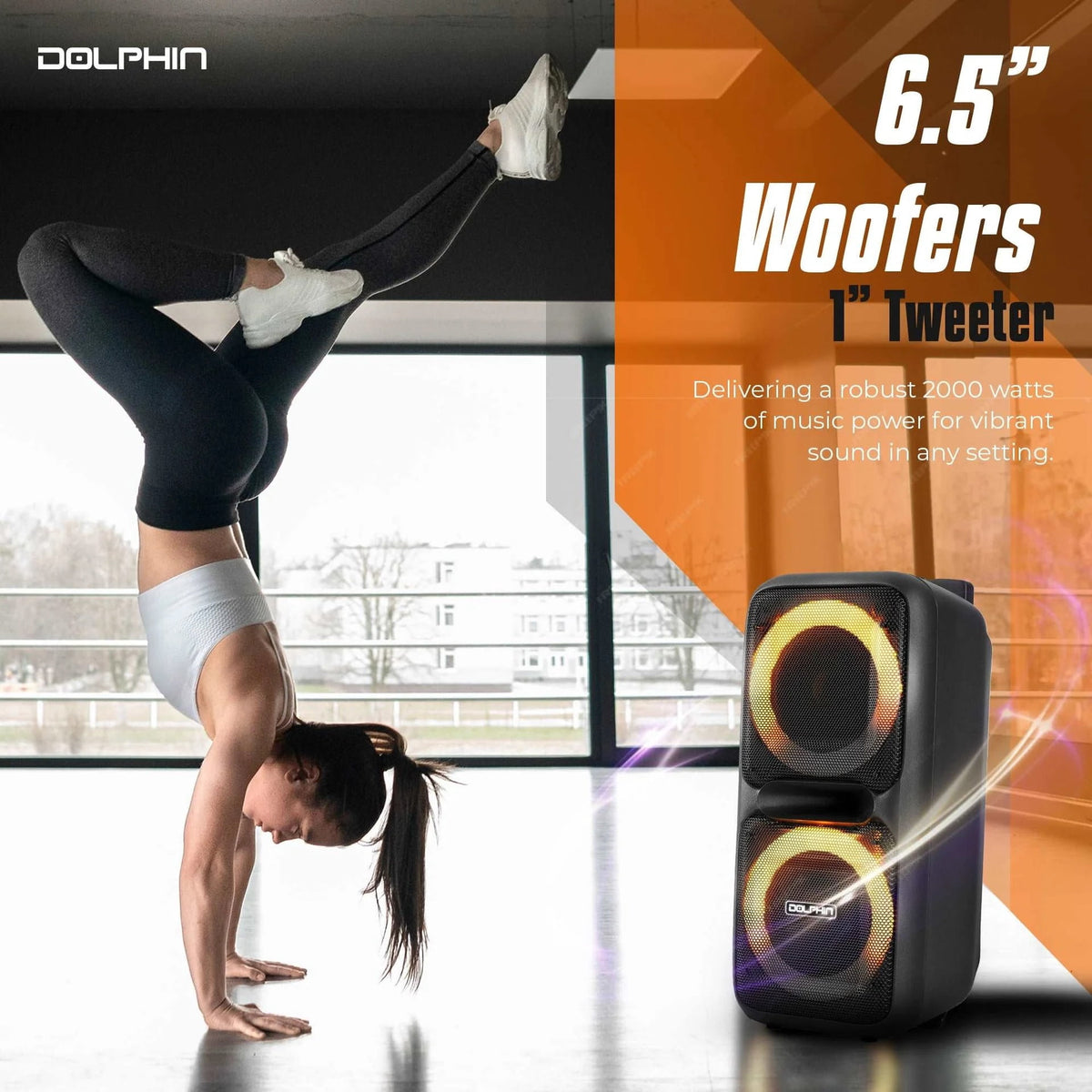 Dolphin SP-2080RBT Bluetooth Speaker - High Power Portable, Wireless Microphone, Deep Bass, LED Lights, USB/SD Card, Rechargeable Long Lasting Battery