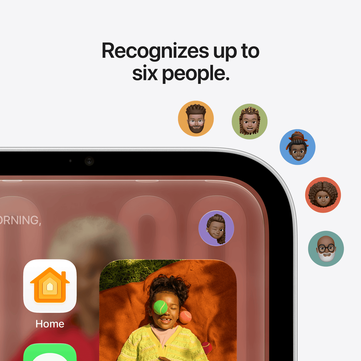 Apple HomeView - Space Gray