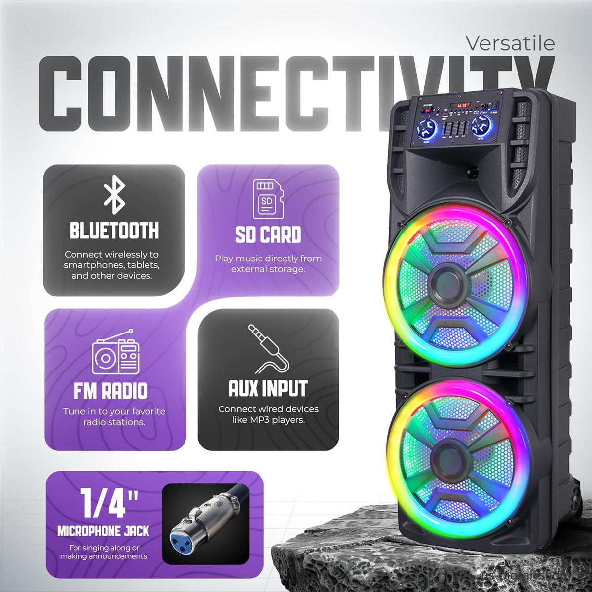 RIDWIND 5000W Peak Power Dual 10" Woofers Portable Party Speaker, Indoor & Outdoor Loud Heavy Bass Sound System with Microphone, RGB Lights, Remote Control, Support TWS/USB/FM, Rechargeable Battery