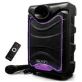 Dolphin SP-850RBT 8-in Portable Bluetooth Party Speaker with Mic, Lights, FM Radio, USB, Rechargeable Battery