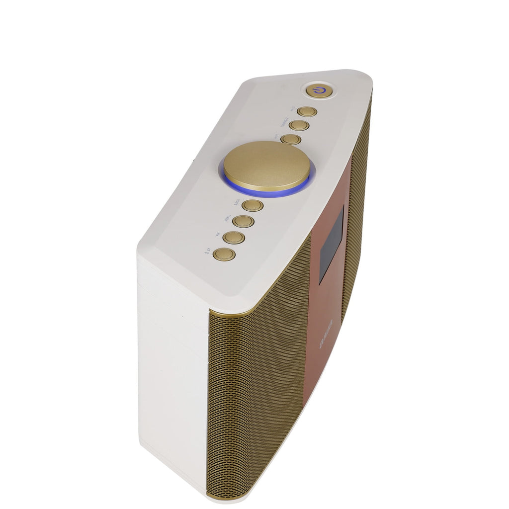 Aiwa Exos-5 Wireless Bluetooth Hi-Fi Home Speaker with FM Radio, Alarm Clock and Remote Control for Home Audio